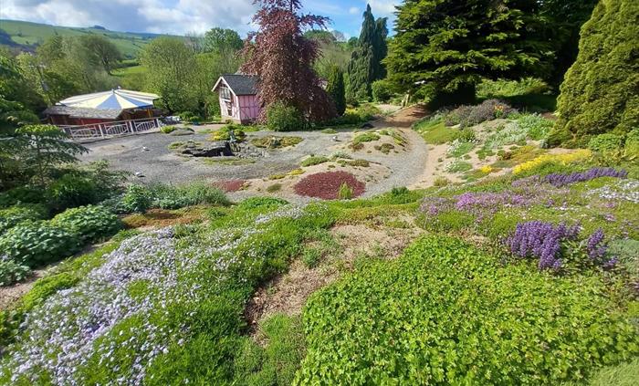 The picture shows the natural planting style typical for most of Cwm Weeg Gardens, very much influenced by natural landscapes